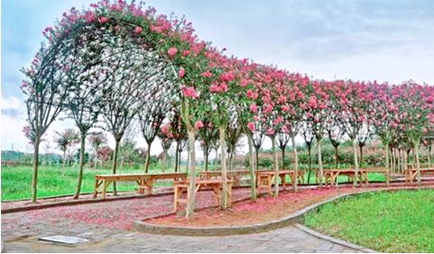 通力電梯中庭景觀