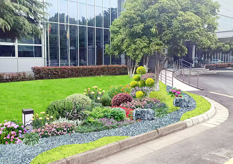 蘇州微創(chuàng)骨科學集團