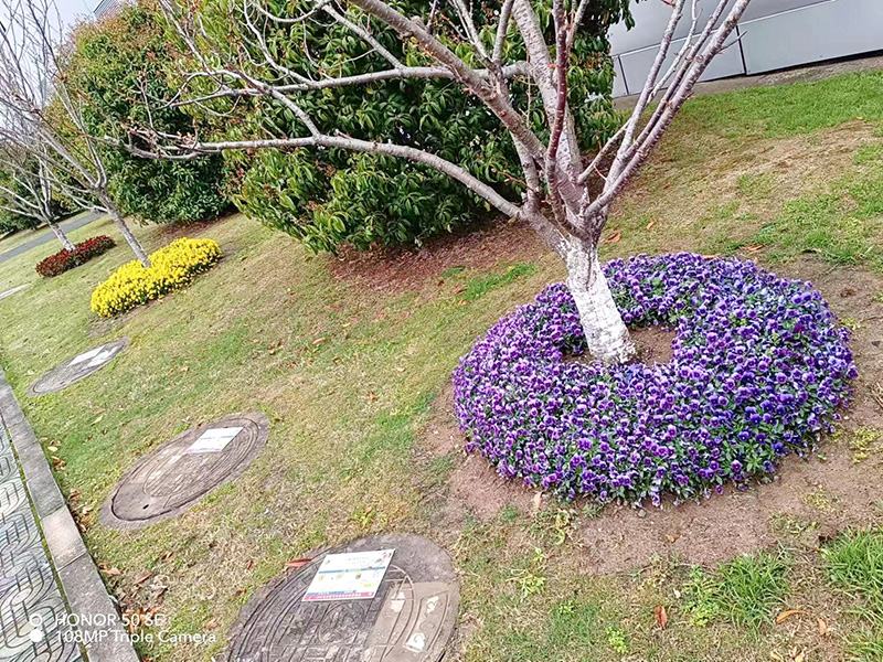 格蘭富水泵（蘇州）有限公司